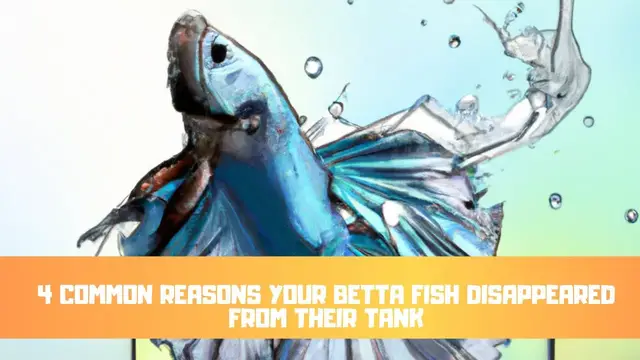 Video thumbnail for 4 COMMON Reasons Your Betta Fish Disappeared From Their Tank