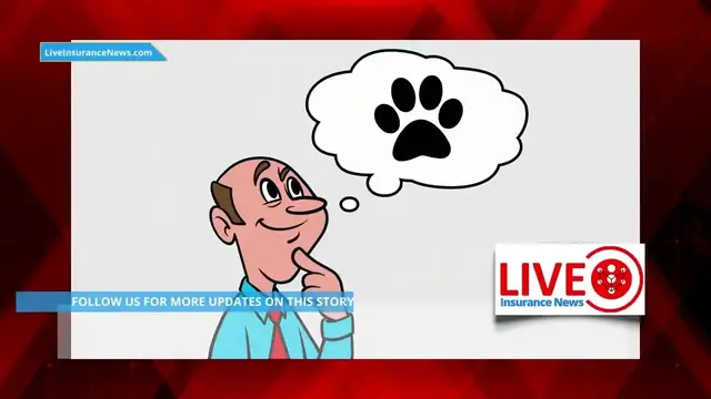 Video thumbnail for Homeowners’ insurance customers reminded of bear risk