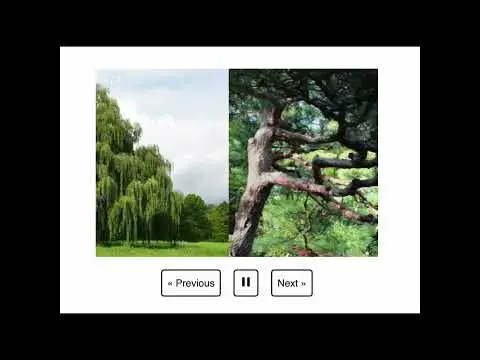 'Video thumbnail for Create Image carousel in JavaScript'