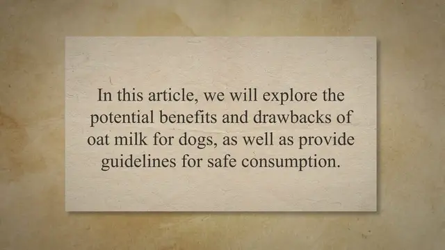 'Video thumbnail for Oat Milk for Dogs: Risks, Benefits, and Safe Consumption Guidelines'