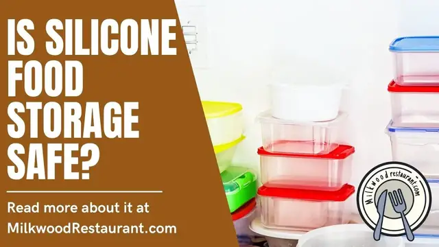 Video thumbnail for Is Silicone Food Storage Safe? 5 Superb Facts About It That You Should Know