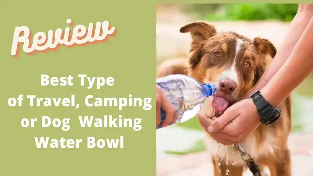 Video thumbnail for Multi-Functioning Travel Bowl for Dogs, Cats & You!