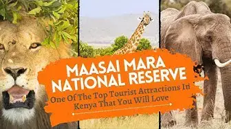 Video thumbnail for Maasai Mara National Reserve One Of The Top Tourist Attractions In Kenya That You Will Love  🥰
