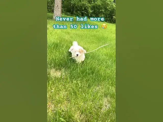 Video thumbnail for 👋 #shorts