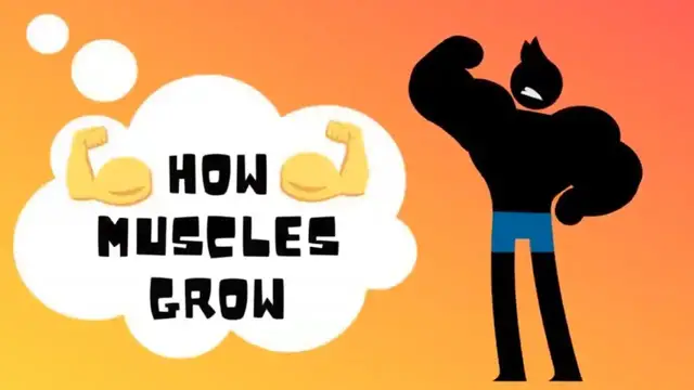Video thumbnail for How Muscles Grow Science