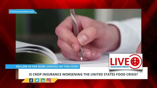 Video thumbnail for Insurance News - Is crop insurance worsening the United States food crisis?