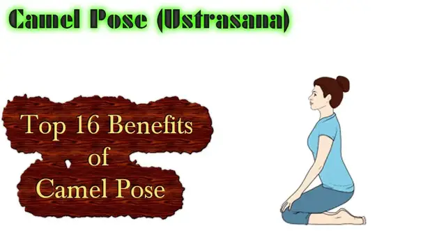 Video thumbnail for Camel Pose Yoga (Ustrasana) - Top 16 Benefits of This Pose