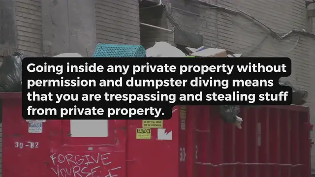 'Video thumbnail for Dumpster Diving in New Hampshire'