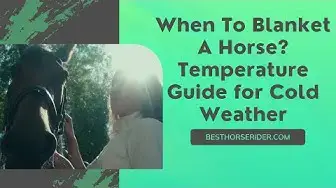 Video thumbnail for When To Blanket A Horse? Temperature Guide for Cold Weather