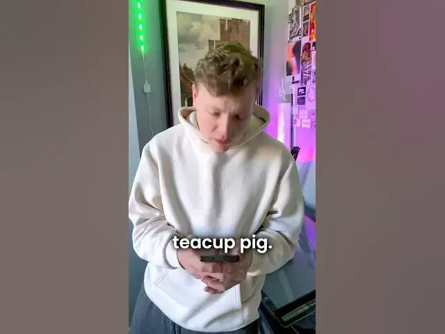 Video thumbnail for Drawing a bedazzled teacup pig with watercolour #art