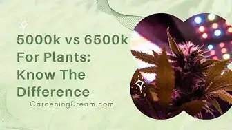 Video thumbnail for 5000k vs 6500k For Plants- Know The Difference