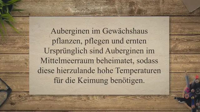 Video thumbnail for Auberginen im Gewächshaus pflanzen, pflegen und ernten