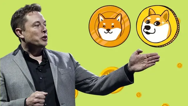 Video thumbnail for Best Cryptocurrency to buy in 2022 According to Elon Musk