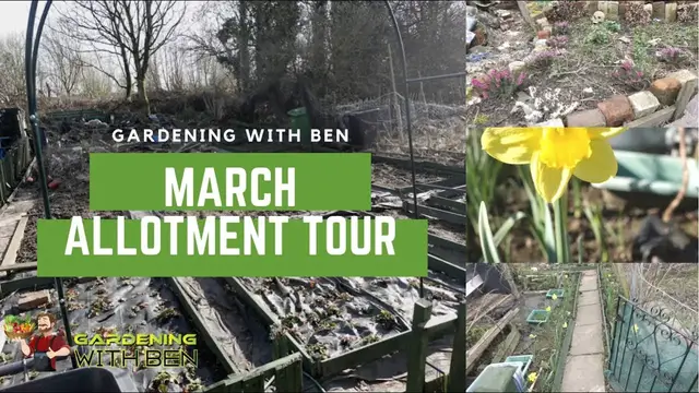 'Video thumbnail for ✅ March Allotment Adventure 🌱 | What to Grow Now + Must-Know Gardening Tips for Huge Harvests 🌸✨'