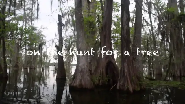 Video thumbnail for Cajun Country Swap Tours