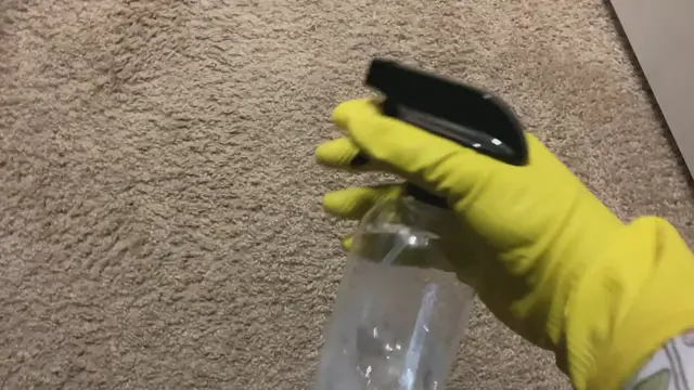 Video thumbnail for How to make your own carpet spray
