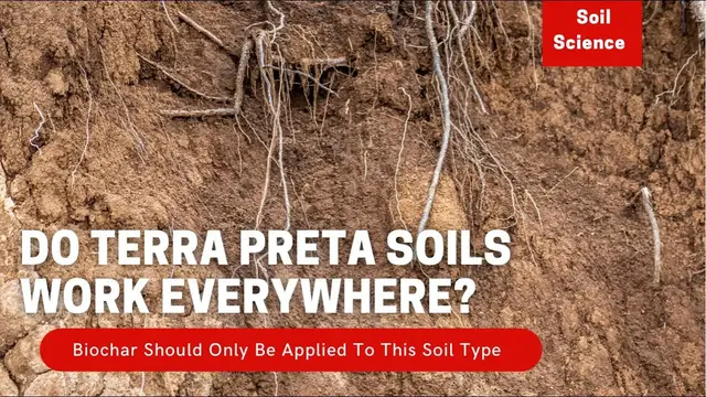 Video thumbnail for What Is Terra Petra Soils? Can You Make Any Soil Terra Petra Soil? Soil Scientist Opinion.