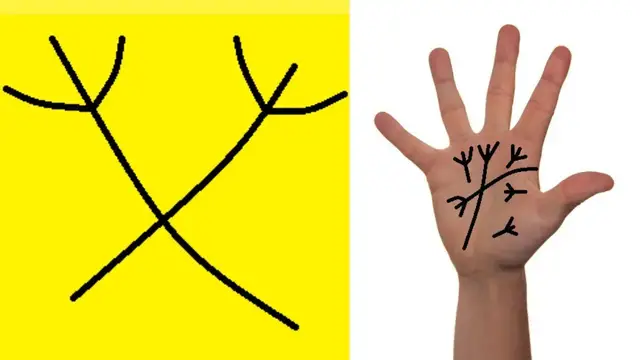 Video thumbnail for Do You Have This Lucky Trident/Trishul Sign In Your Hands?-Palmistry