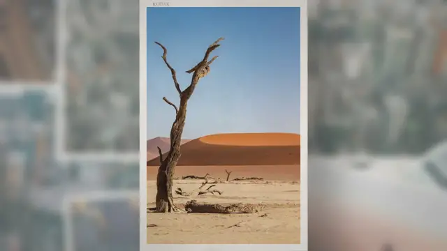 Video thumbnail for Do Metal Detectors Detect Liquids?