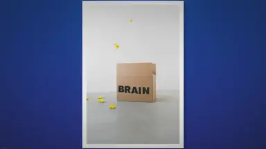 'Video thumbnail for Genius Consciousness Vs Alpha Brain | Valentino's Naturals'