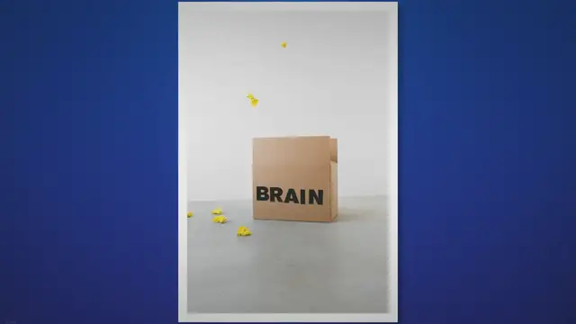 'Video thumbnail for Genius Consciousness Vs Alpha Brain | Valentino's Naturals'