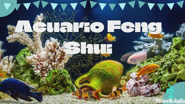 Video thumbnail for Acuario Feng Shui- video