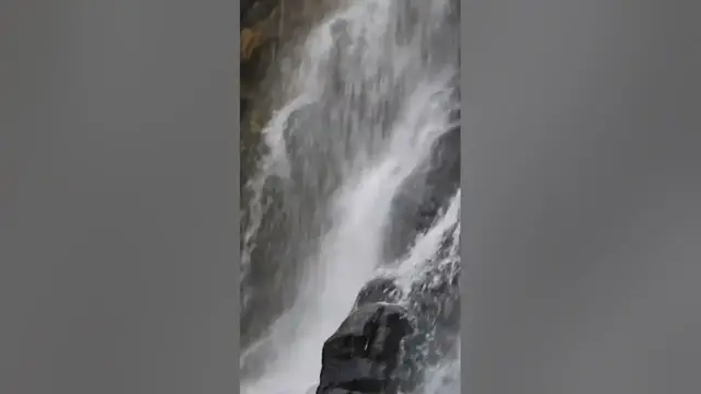 Video thumbnail for Sera Ella water fall in Knuckles mountain range #shorts