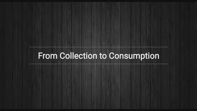 Video thumbnail for Extra Virgin Olive Oil Extraction Process