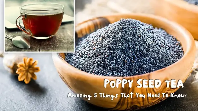 Video thumbnail for Poppy Seed Tea, Amazing 5 Things That You Need To Know!
