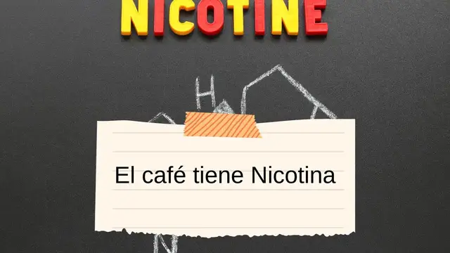Video thumbnail for El café tiene Nicotina: video blog