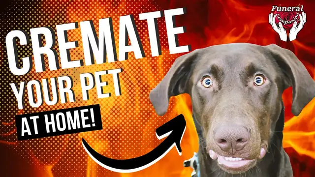 Video thumbnail for How To Cremate A Pet At Home And Do It Right