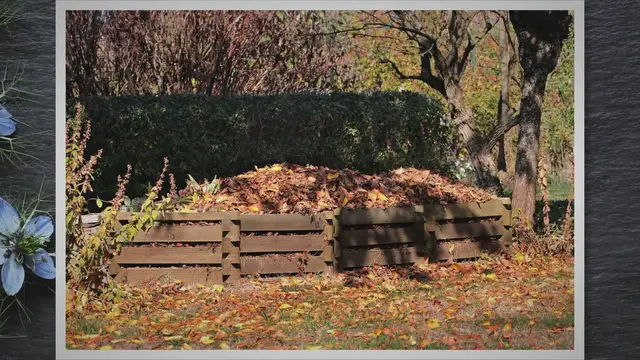 'Video thumbnail for From Stinky to Sweet: The Science of Compost Odor and How to Achieve Odorless Compost'