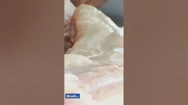 Video thumbnail for The Best Fish Scaler On Amazon (2023)