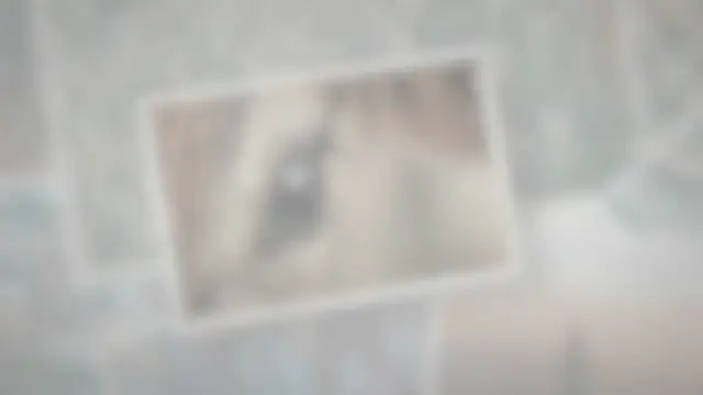 Video thumbnail for Can Cows See Color? Do They See Well?