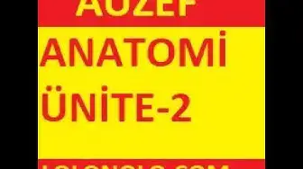 Video thumbnail for Anatomi Test Linki: