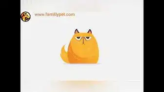 'Video thumbnail for Cats Communication, understanding cat's language'