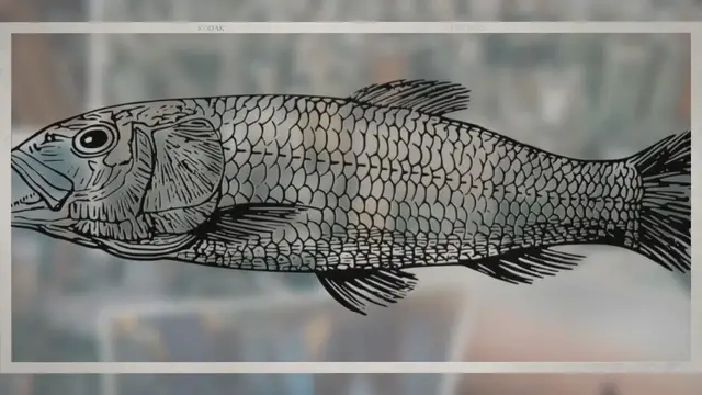 Video thumbnail for How Deep Are Fossils in the Ground?