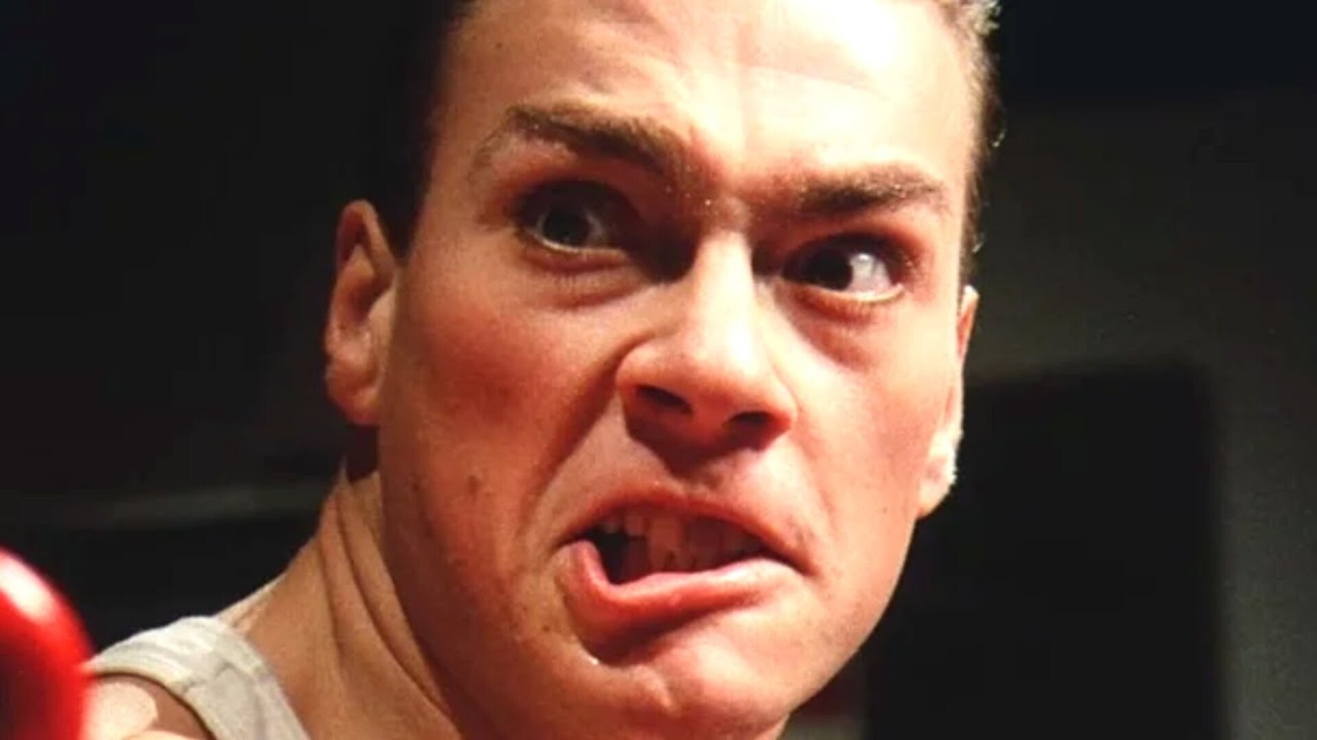 Video thumbnail for Wild Stories From Ninja Films That Are Actually True