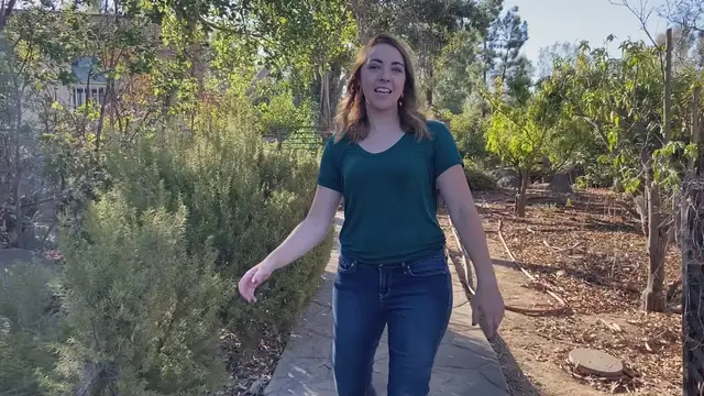 Video thumbnail for Gray Legging Outfit Ideas