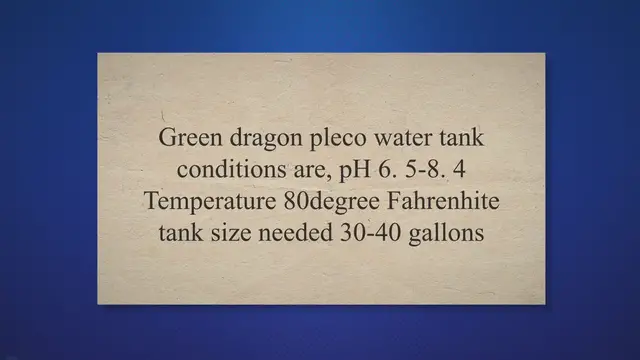 'Video thumbnail for Green Dragon Pleco '