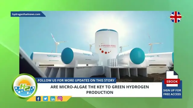 Video thumbnail for Are micro-algae the key to green hydrogen production?
