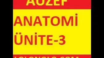Video thumbnail for Anatomi Ünite 3  Testi