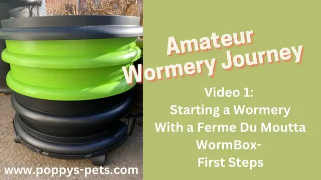Video thumbnail for Video 1: Starting a Wormery With a Ferme Du Moutta WormBox