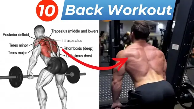 Video thumbnail for Top 10 Back Workout | Ultimate Back Exercises