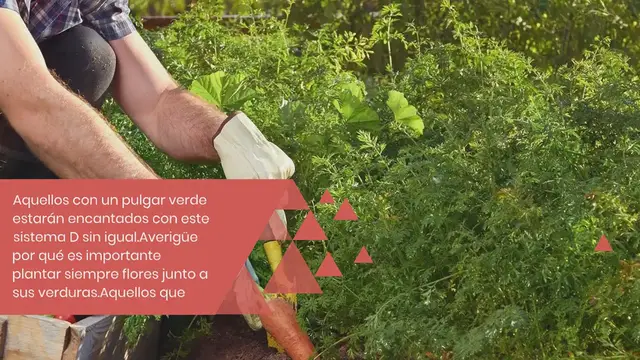 Video thumbnail for Por qué los jardineros siempre deben plantar flores junto a las verduras
