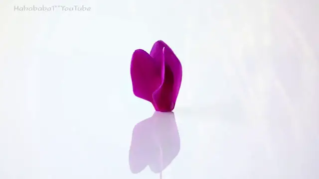 Video thumbnail for Liebe Grüße! #Zitate und #Sprüche über das Leben