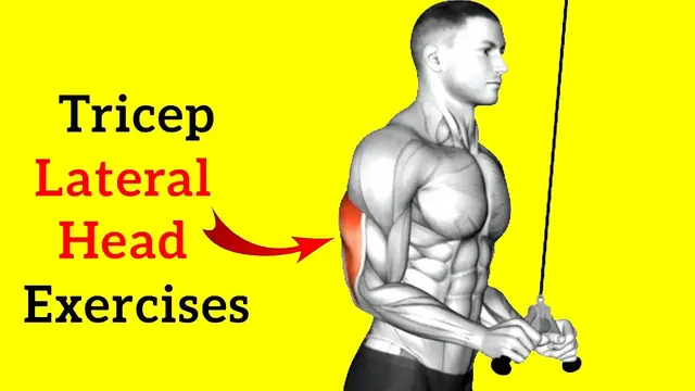 Video thumbnail for 10 Best Lateral Head Tricep Exercises For Bigger Arms (You Need To Do)