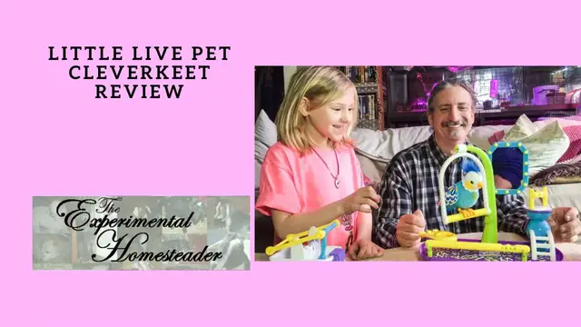 Video thumbnail for Little Live Pet Cleverkeet Review