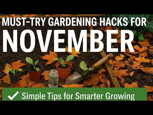 'Video thumbnail for 🎥 ✅ 🌱 Must-Try Gardening Hacks for November 🍂 | Simple Tips for Smarter Growing 🌿🎧'