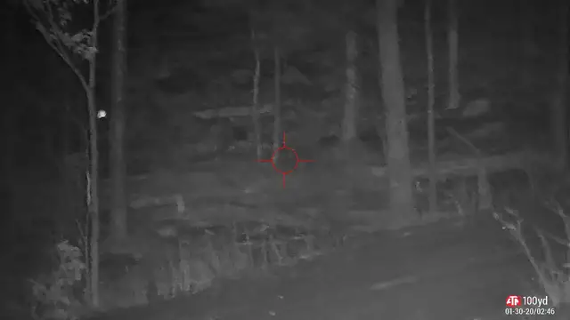 Video thumbnail for Coyote shot twice using ATN X-Sight 4K Pro